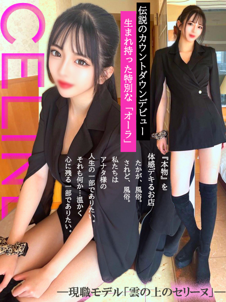 現職モデル「雲の上のセリーヌ」