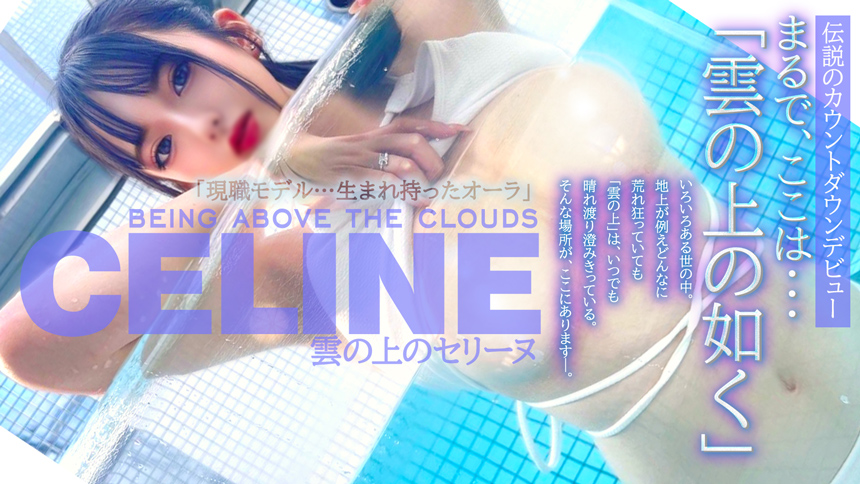 現職モデル「雲の上のセリーヌ」